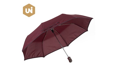 Ossa plicaturae Umbrellae