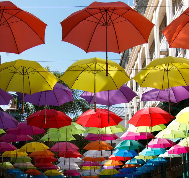 Apricus umbrella introductio