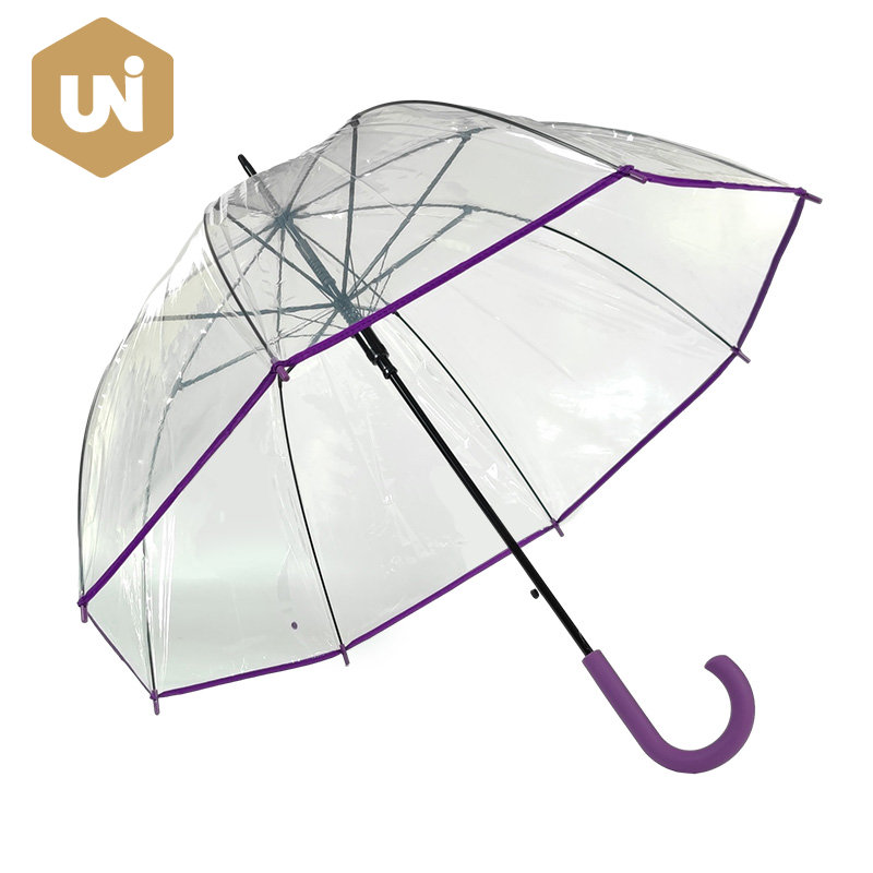 Color Matching Clear POE Pluvia Umbrella